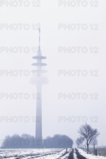 A television tower in fog rises above a snow-covered landscape, Schöppinger Berg, Münsterland, North Rhine-Westphalia, Germany