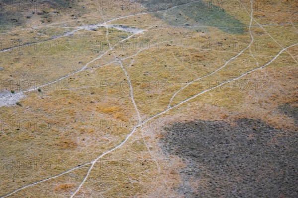 Paths, trails in the countryside, animal trails Aerial view of the Okavango Delta, near Maun, Okavango Delta, Botswana