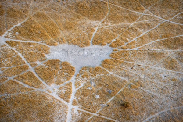 Structure and pattern of trails, animal trails, landscape, aerial view of the Okavango Delta, near Maun, Okavango Delta, Botswana