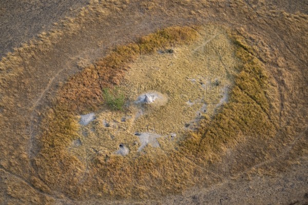 Termite hills in marshland, landscape, aerial view of the Okavango Delta, near Maun, Okavango Delta, Botswana