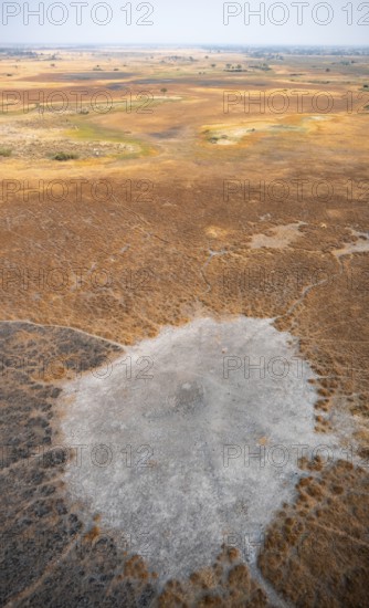 Dry season, structure and pattern of trails, landscape, aerial view of the Okavango Delta, near Maun, Okavango Delta, Botswana