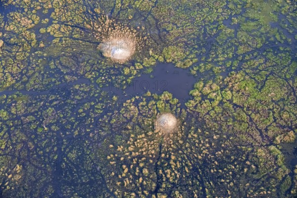 Wetland, landscape, aerial view of the Okavango Delta, near Maun, Okavango Delta, Botswana