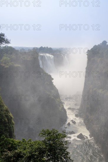 Water plunges into the depths, Victoria Falls with gorge and jungle, Zambezi, Zimbabwe