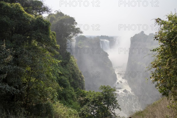 Water plunges into the depths, Victoria Falls with gorge and jungle, Zambezi, Zimbabwe