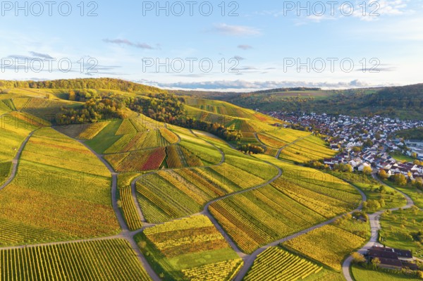 Panorama of colorful vineyards and a neighboring settlement in autumn, autumn, near Strümpfelbach im Remstal, Baden-Württemberg, Germany
