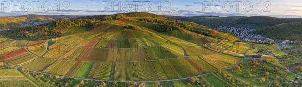 Extensive vineyard panorama in the evening sun with vivid autumn colors, autumn, near Strümpfelbach im Remstal, Baden-Württemberg, Germany