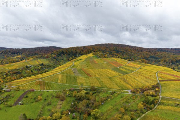 Autumn vineyards under cloudy skies with a variety of colors, autumn, near Strümpfelbach im Remstal, Baden-Württemberg, Germany