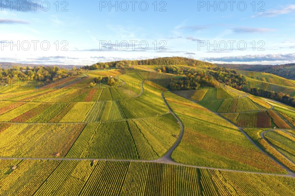 Painted landscape with vineyards and autumn tones under blue sky, autumn, near Strümpfelbach im Remstal, Baden-Württemberg, Germany