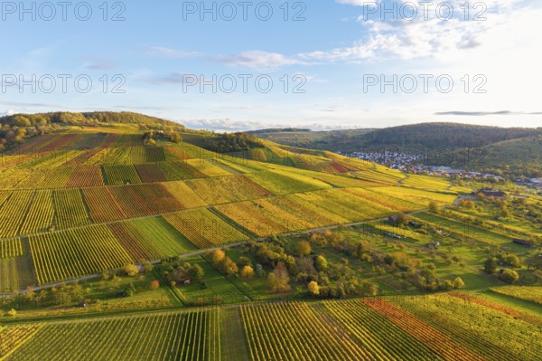 Sunlit vineyards and fields on rolling hills, autumn, near Strümpfelbach im Remstal, Baden-Württemberg, Germany