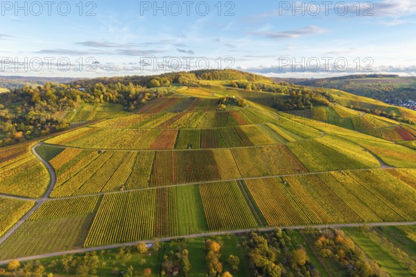 Vineyards in a hilly, colorful landscape in autumn, near Strümpfelbach im Remstal, Baden-Württemberg, Germany
