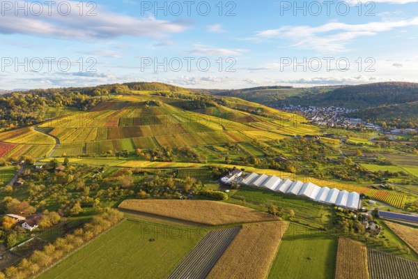 Extensive panoramic landscape with colorful vineyards and fields, autumn, near Strümpfelbach im Remstal, Baden-Württemberg, Germany