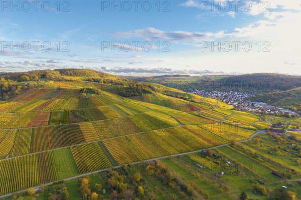 Green and golden fields on rolling hills in sunlight, autumn, near Strümpfelbach im Remstal, Baden-Württemberg, Germany
