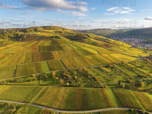 Colourful vineyards and fields stretch across the hills, autumn, near Strümpfelbach im Remstal, Baden-Württemberg, Germany