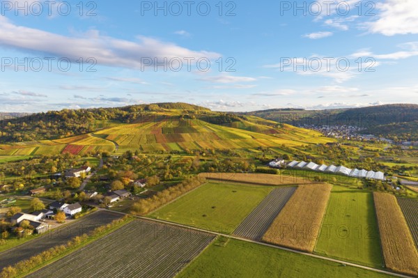Multicolor landscape with vineyards and fields under blue sky, autumn, near Strümpfelbach im Remstal, Baden-Württemberg, Germany