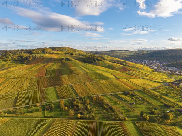 Hilly fields with colorful vineyards under a wide sky, autumn, near Strümpfelbach im Remstal, Baden-Württemberg, Germany
