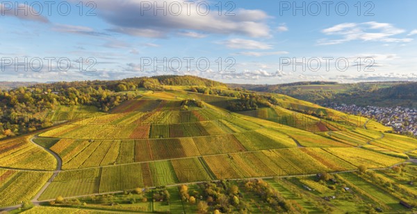 Extensive landscape with colorful vineyards under blue sky, autumn, near Strümpfelbach im Remstal, Baden-Württemberg, Germany