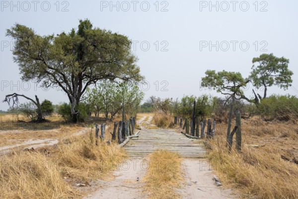 Bridge in Moremi Game Reserve, Botswana