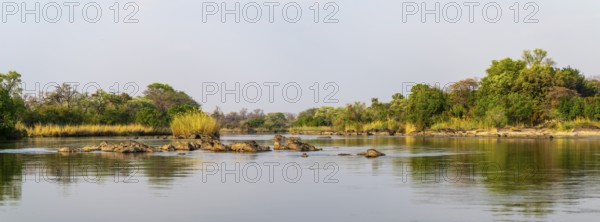 Panorama, landscape on the Kavango River, Zambezi region, Caprivi Strip, Namibia