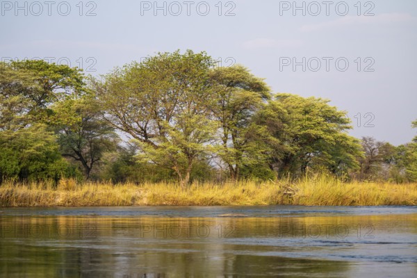 Landscape on the Kavango River, Zambezi Region, Caprivi Strip, Namibia