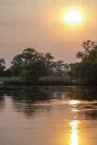 Kavango River, sunset, Zambezi region, Caprivi Strip, Namibia