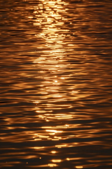Water, Kavango River, sunset, Zambezi region, Caprivi Strip, Namibia