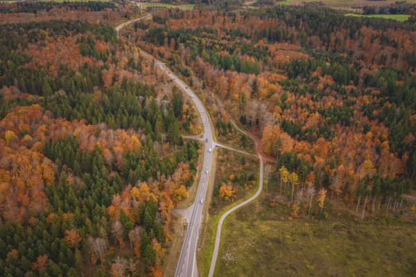 Winding road through dense autumn forest with colorful leaves, new Lindenrain industrial park, Calw, Black Forest, Germany