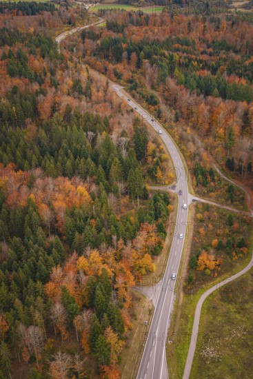 Winding country road through colorful autumn forest with occasional traffic, new Lindenrain industrial park, Calw, Black Forest, Germany