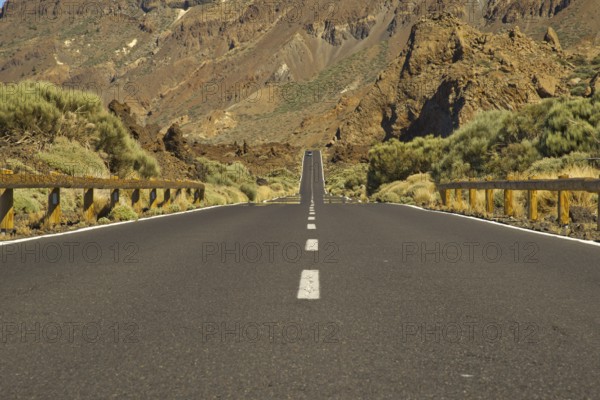 Europe, Spain, Canary Islands, Tenerife, Teide National Park