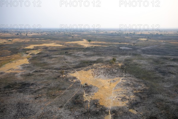 Dry season, structure and pattern of trails, burnt landscape, aerial view of the Okavango Delta, near Maun, Okavango Delta, Botswana
