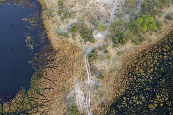 Road through marshland, landscape, aerial view of the Okavango Delta, near Maun, Okavango Delta, Botswana