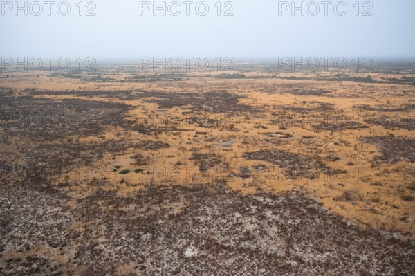 Dry season, dry landscape, aerial view of the Okavango Delta, near Maun, Okavango Delta, Botswana