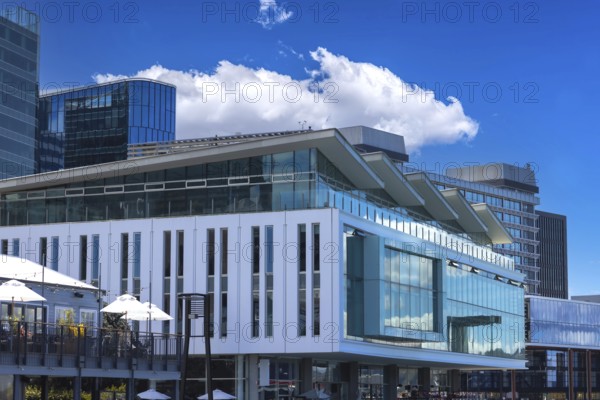 Scenic Panoramic skyline of Wellington downtown harbor and financial center in New Zealand