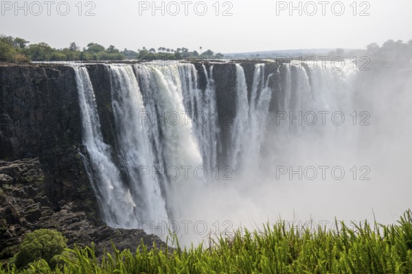 Water plunges into the depths, Victoria Falls with jungle and green plants, Zambezi, Zimbabwe