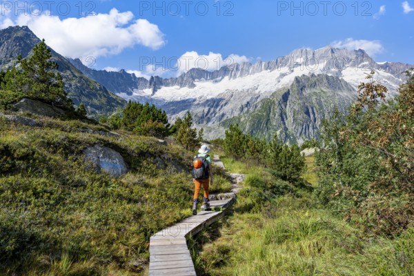 Mountaineers on wooden plank trail through mountain moor, in front of picturesque mountain scenery, Dammastock and Damma glaciers, Göscheneralp, Canton of Uri, Switzerland