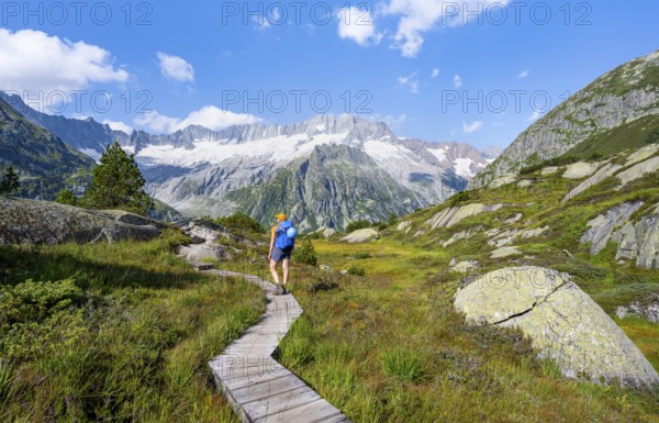 Female mountaineer on wooden plank path through mountain moor, in front of picturesque mountain scenery, Dammastock and Damma glaciers, Göscheneralp, Canton of Uri, Switzerland