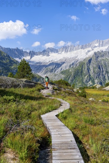 Mountaineers on wooden plank trail through mountain moor, in front of picturesque mountain scenery, Dammastock and Damma glaciers, Göscheneralp, Canton of Uri, Switzerland