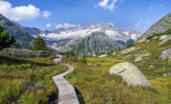 Wooden plank trail through mountain moor, in front of picturesque mountain scenery, Dammastock and Damma glaciers, Göscheneralp, Canton of Uri, Switzerland