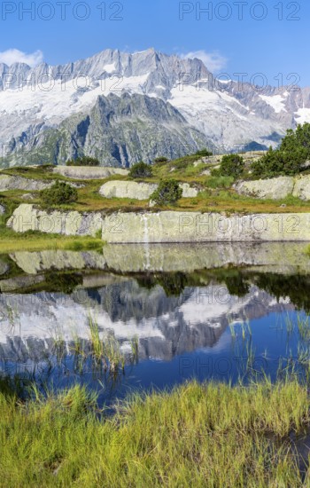 Picturesque mountain landscape, dammastock and damma glaciers reflected in Moorsee, Göscheneralp, Canton of Uri, Switzerland
