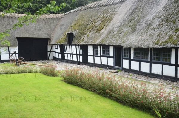Half-timbered farmhouse and lawn in Den gamle by, The old Funen village, open air museum in Odense, Fyn island, Funen, Denmark, Scandinavia