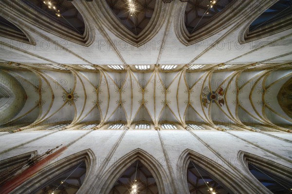 Interior photo, vaulted ceiling, church ceiling, central nave, interior view, Cathedral of Our Lady in Ulm, Ulm Münster, Ulm, Baden-Württemberg, Germany