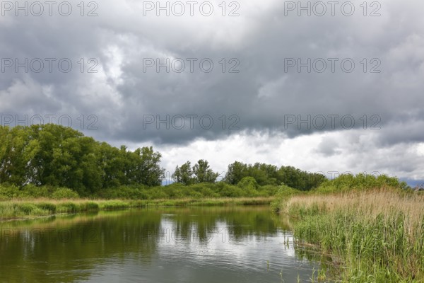 A quiet river surrounded by thick vegetation under a cloudy sky, Peenetal nature park Park, Mecklenburg-Western Pomerania, Germany