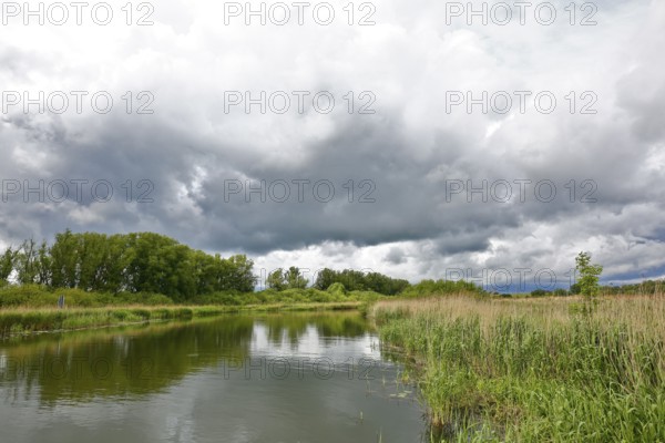 A cloudy sky over a quiet river amid green riparian vegetation, Peenetal nature park Park, Mecklenburg-Western Pomerania, Germany
