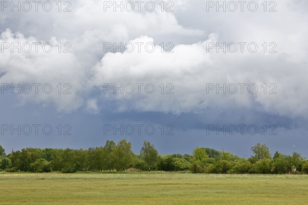 Grey clouds float over a green meadow lined with trees, Peenetal nature park Park, Mecklenburg-Western Pomerania, Germany