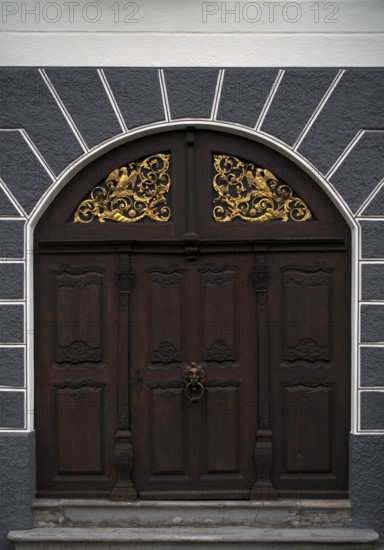 Portal, ornaments, door knob, knocker, historic Leube house, Leube house, old town, Ulm, Baden-Württemberg, Germany