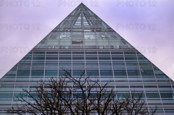 Tree, bare, behind a glass pyramid of the Central Library, City Library, Old Town, Ulm, wintery, Baden-Württemberg, Germany
