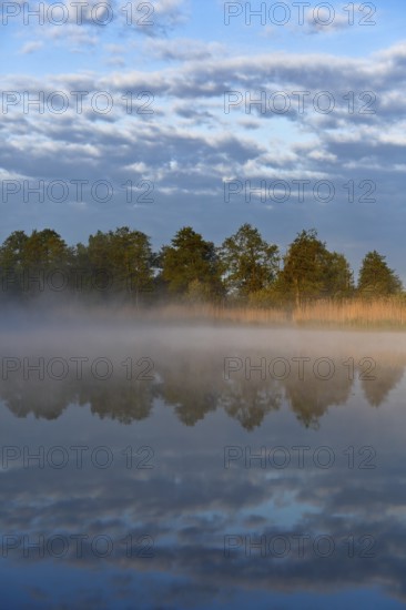 A foggy lake in the morning light with trees and clouds, a peaceful picture, Peenetal nature park Park, Mecklenburg-Western Pomerania, Germany