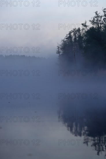 A quiet, foggy lake at dusk with trees and mystical atmosphere, Peenetal nature park Park, Mecklenburg-Western Pomerania, Germany