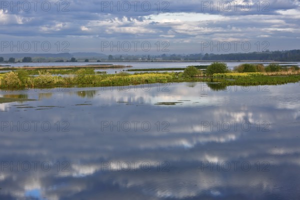 Reflection of clouds in a calm, extensive body of water, Peenetal nature park Park, Mecklenburg-Western Pomerania, Germany