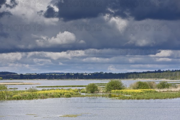Dramatic sky over a vast lake surrounded by green vegetation, Peenetal nature park Park, Mecklenburg-Western Pomerania, Germany