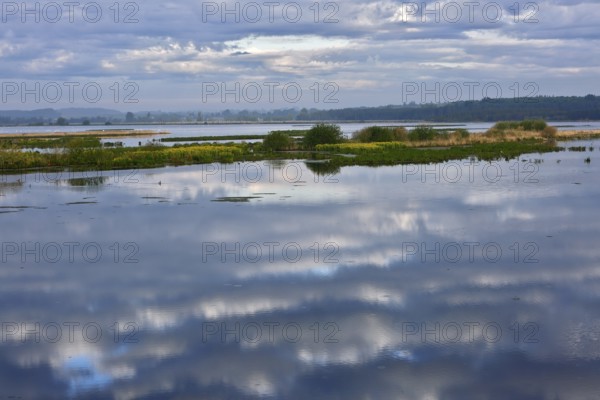 Cloudy sky landscape reflected in a vast, still body of water, Peenetal nature park Park, Mecklenburg-Western Pomerania, Germany